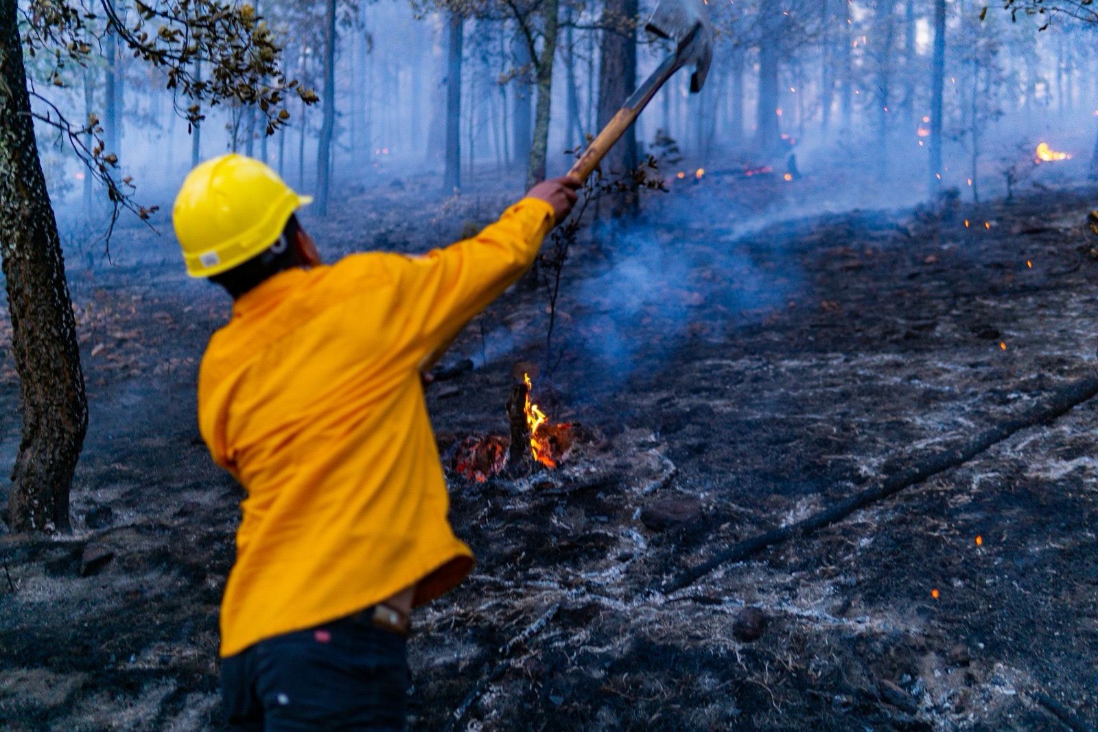 WhatsApp Image 2025-04-18 at 11.50.36 AM