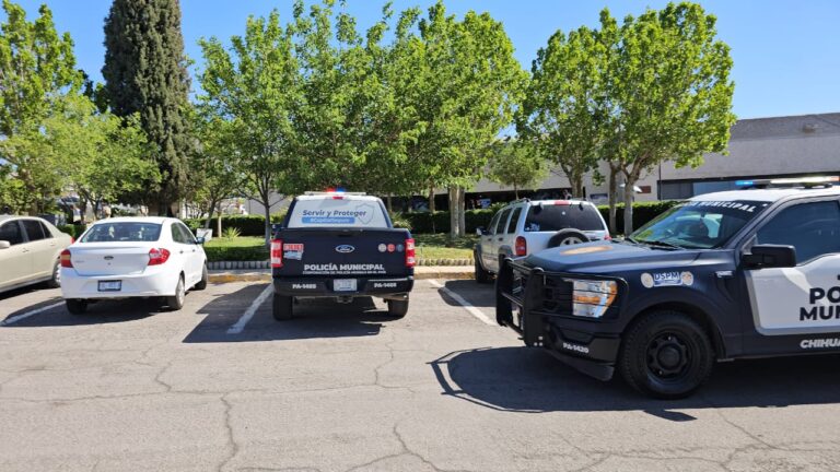 WhatsApp Image 2025-04-22 at 10.31.16 AM