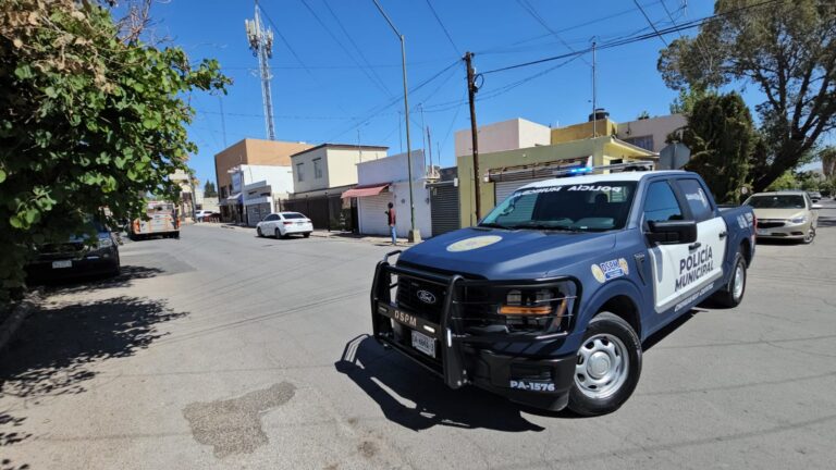 WhatsApp Image 2025-04-22 at 11.19.35 AM