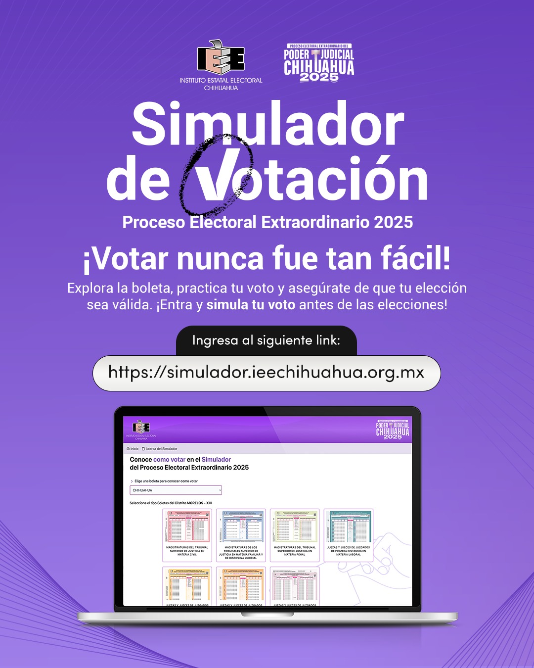 WhatsApp Image 2025-04-25 at 10.13.11 AM