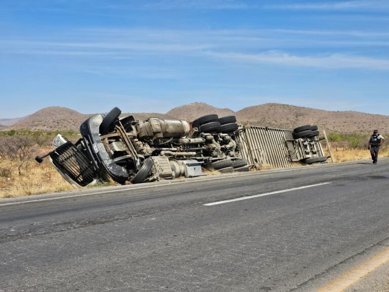 WhatsApp Image 2025-04-25 at 10.52.40 AM