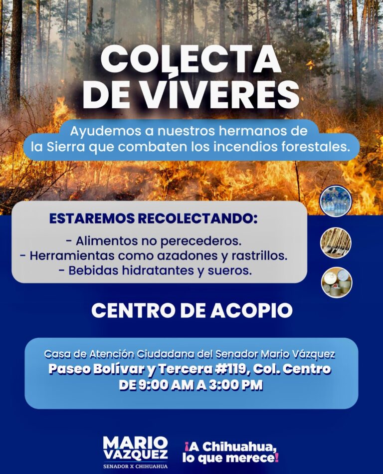 WhatsApp Image 2025-04-29 at 10.40.12 AM