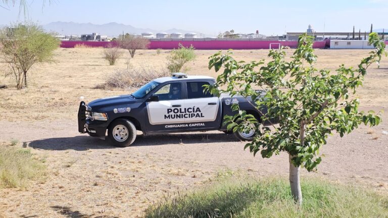 WhatsApp Image 2025-04-29 at 9.21.49 AM