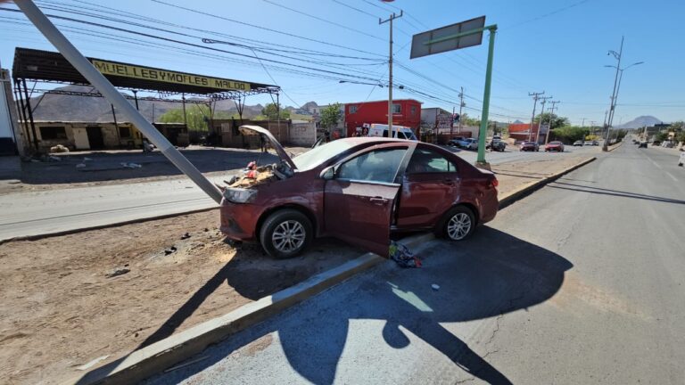 WhatsApp Image 2025-04-30 at 9.43.36 AM (1)