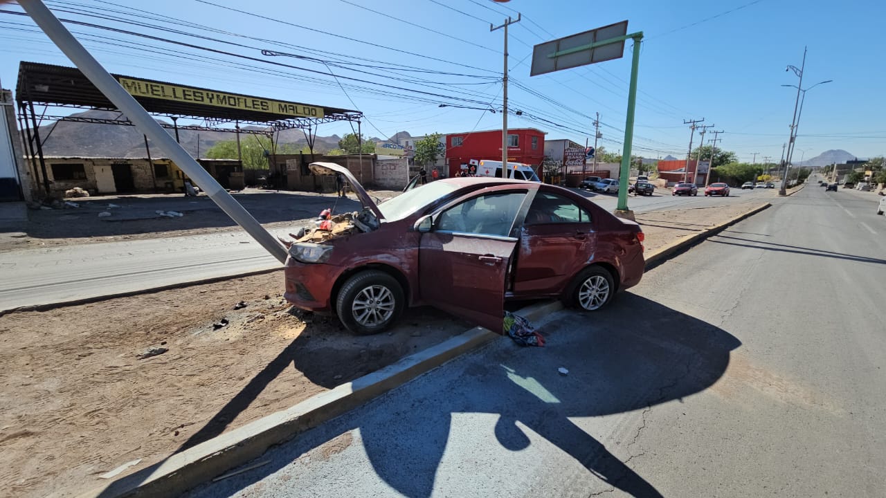 WhatsApp Image 2025-04-30 at 9.43.36 AM (1)