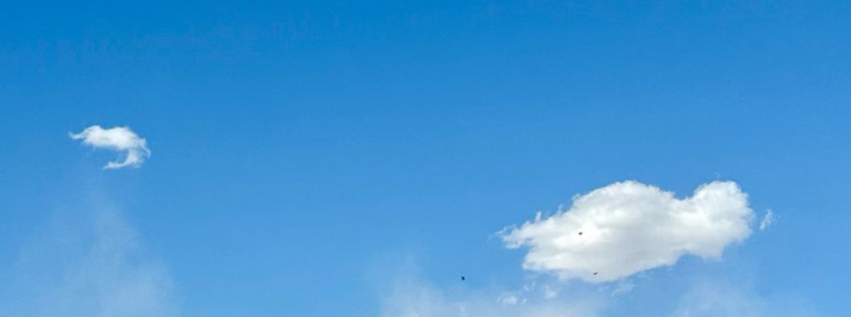 Captura de pantalla 2025-05-12 075025