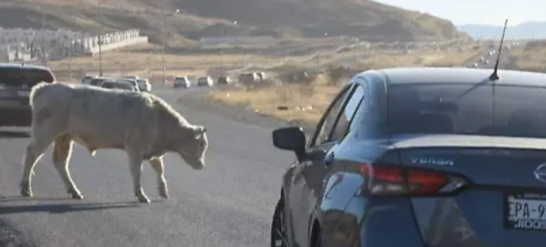 Captura de pantalla 2025-05-15 140708