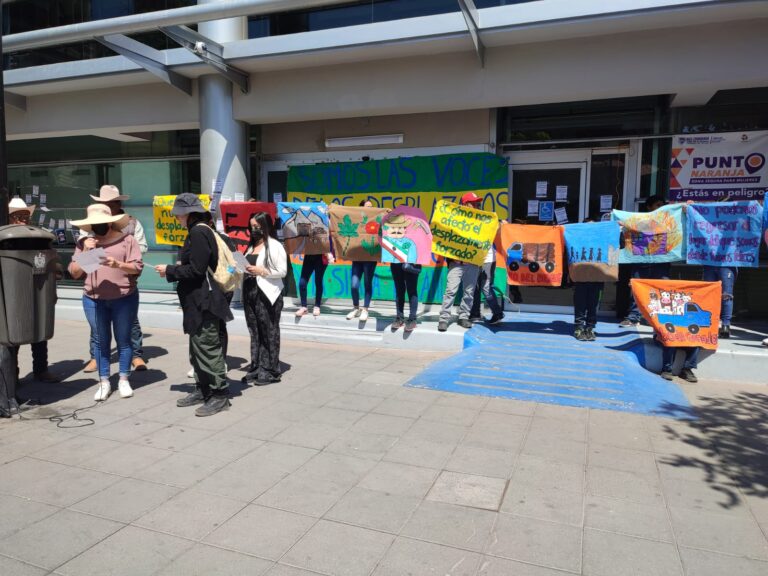 WhatsApp Image 2025-05-04 at 11.12.17 AM (1)