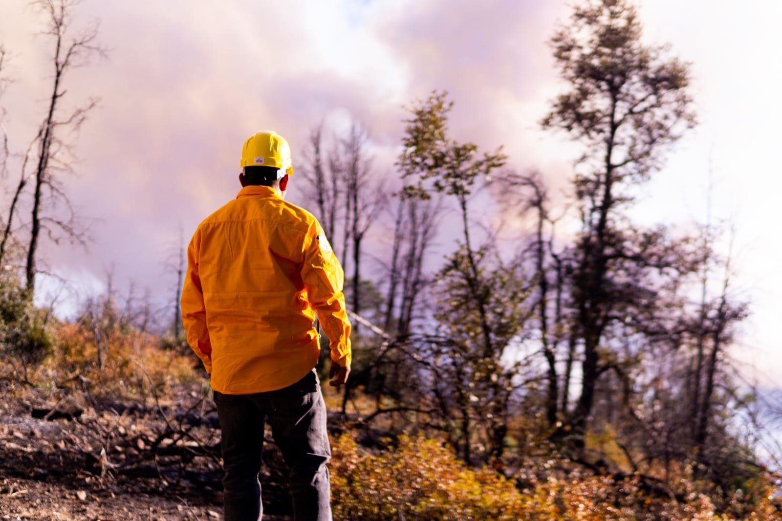 WhatsApp Image 2025-05-04 at 11.40.22 AM