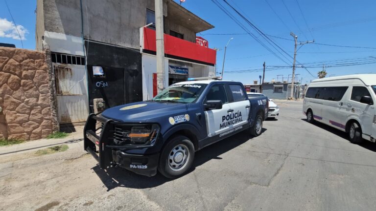 WhatsApp Image 2025-05-06 at 1.23.53 PM