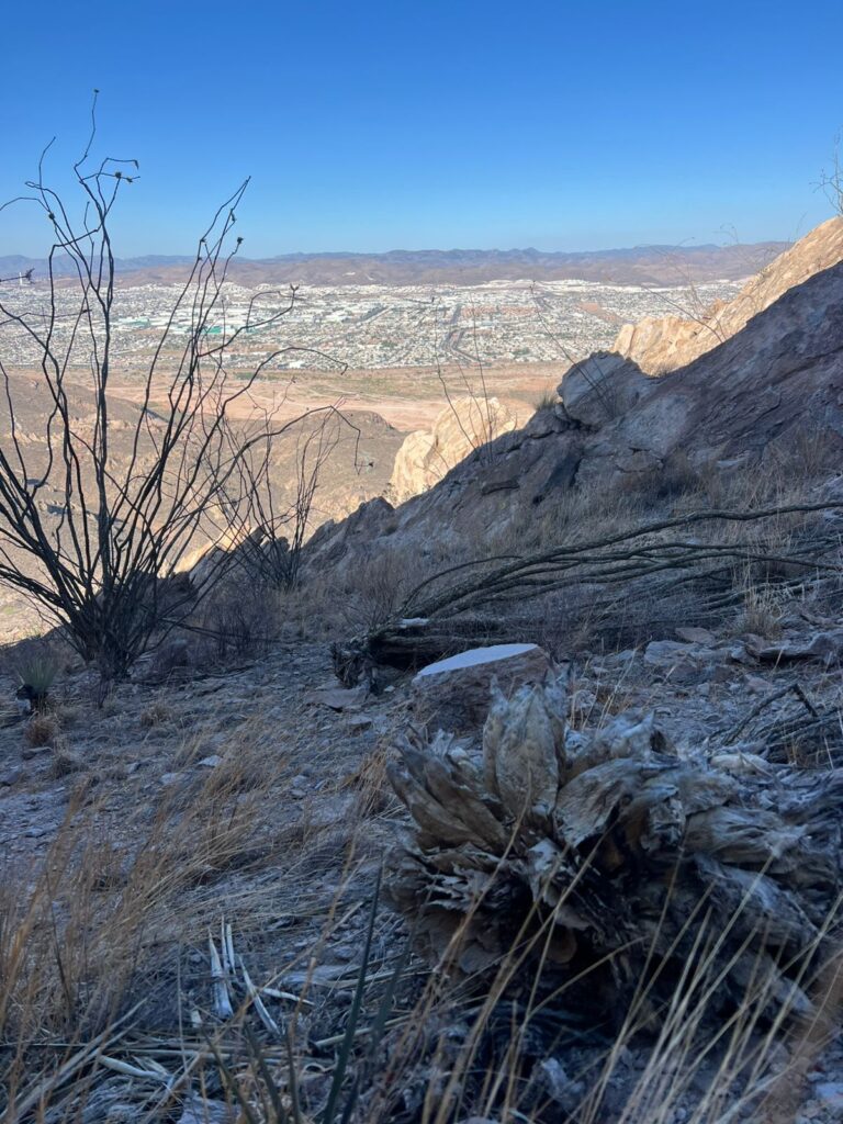 WhatsApp Image 2025-05-06 at 11.30.30 AM (1)