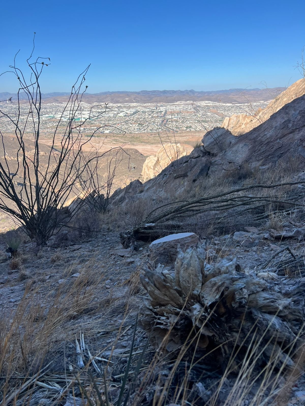 WhatsApp Image 2025-05-06 at 11.30.30 AM (1)