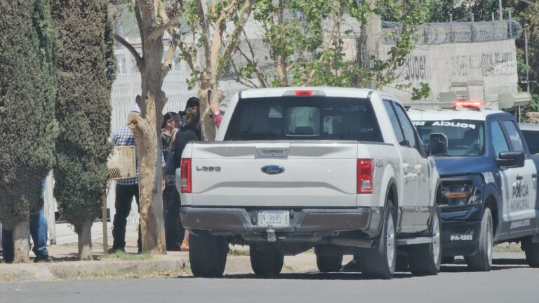 WhatsApp Image 2025-05-06 at 11.59.12 AM