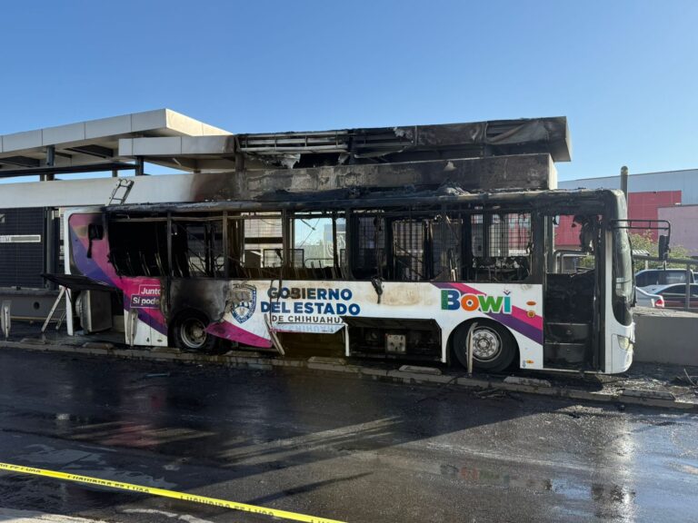 WhatsApp Image 2025-05-07 at 6.59.58 AM