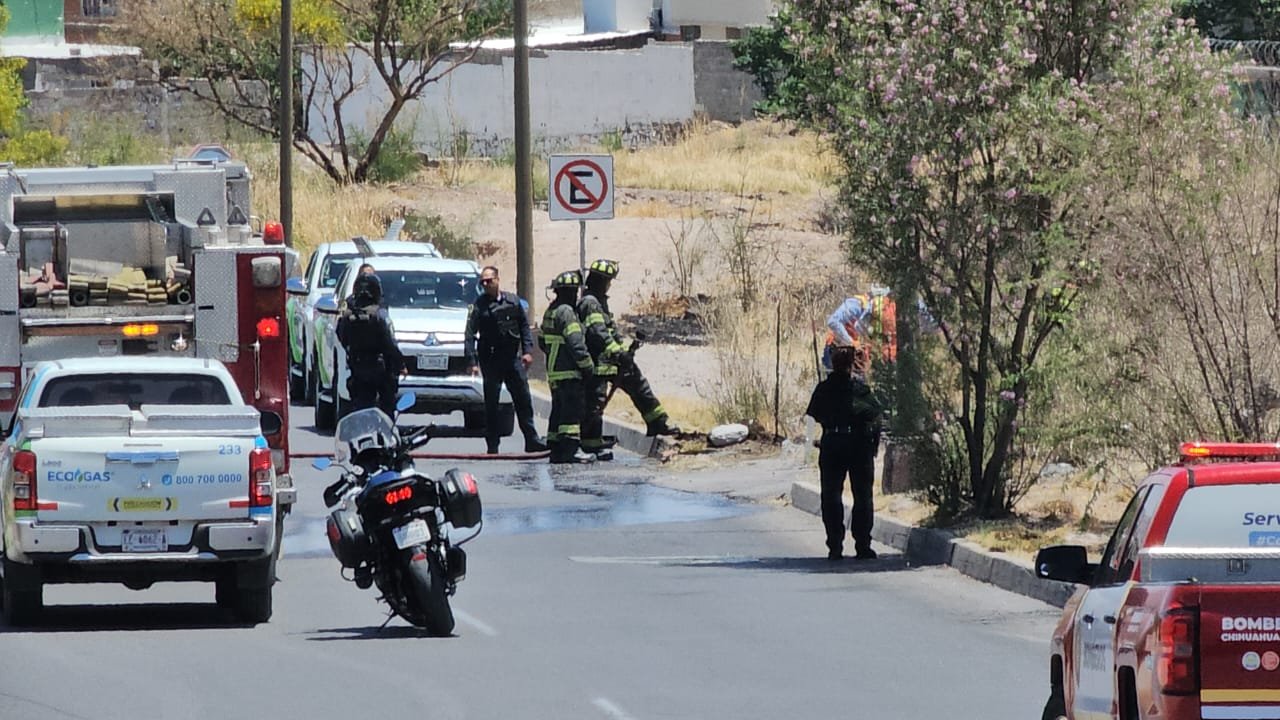 WhatsApp Image 2025-05-08 at 1.18.29 PM