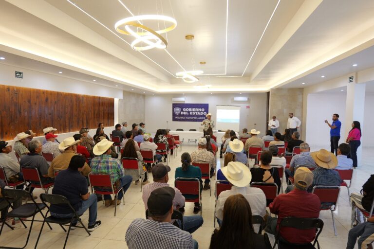 WhatsApp Image 2025-05-13 at 9.43.50 AM