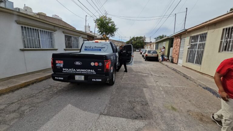 WhatsApp Image 2025-05-13 at 9.55.44 AM