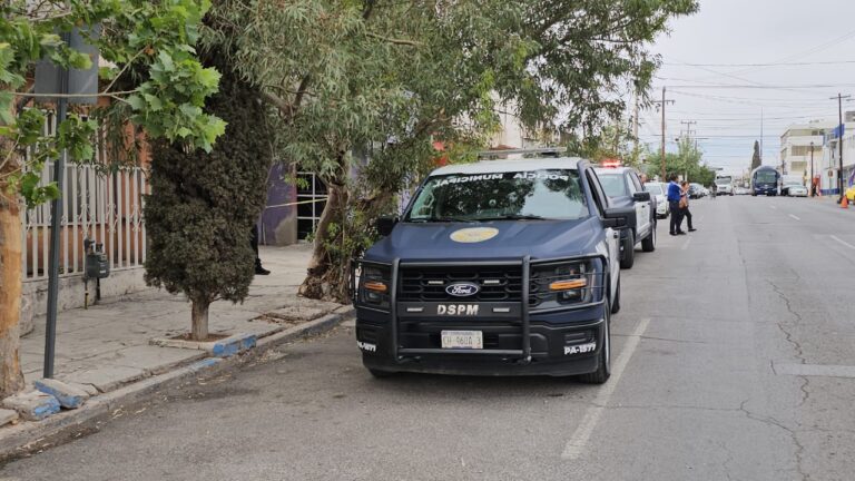 WhatsApp Image 2025-05-14 at 10.42.22 AM