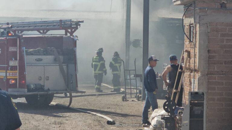 WhatsApp Image 2025-05-20 at 9.38.23 AM