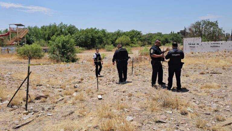 WhatsApp Image 2025-05-21 at 1.15.44 PM