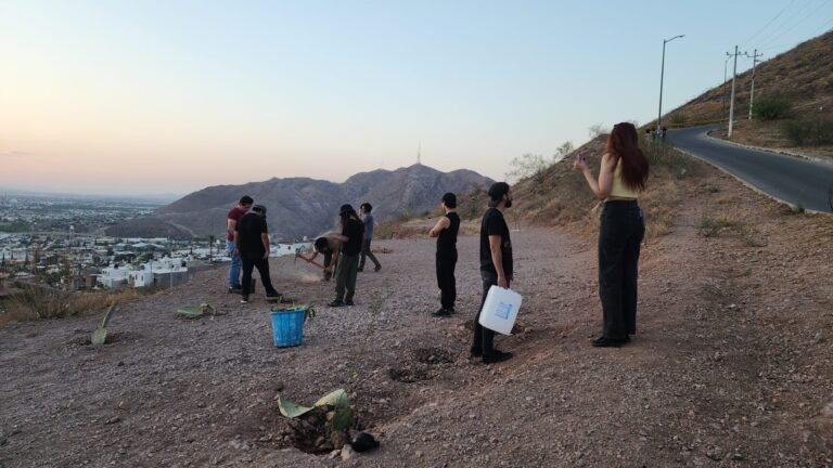 WhatsApp Image 2025-05-22 at 11.02.14 AM (2)