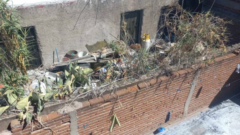 496622887_1791988451663250_9186345973894412442_n