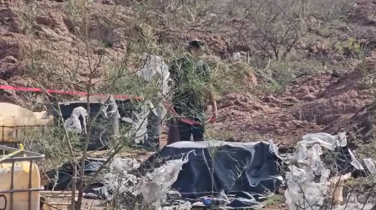 Captura de pantalla 2025-06-30 143634