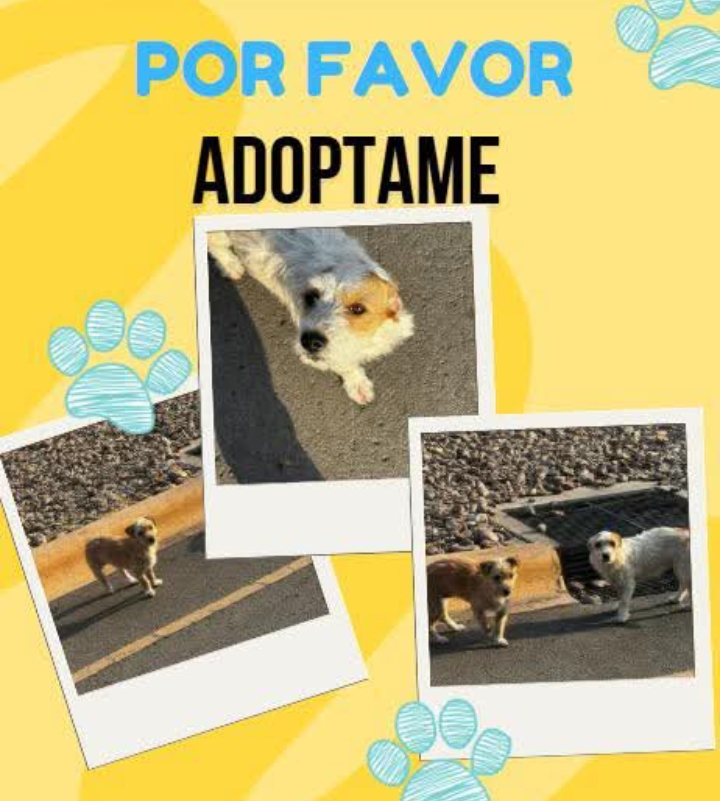 Screenshot_2025-06-11-18-51-32-66_a23b203fd3aafc6dcb84e438dda678b6