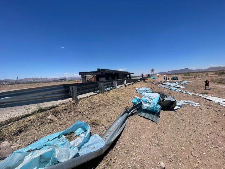 WhatsApp Image 2025-06-02 at 12.59.43 PM