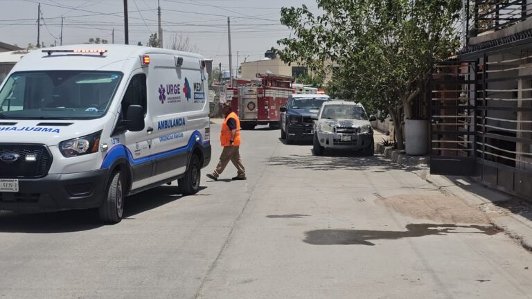 WhatsApp Image 2025-06-11 at 1.06.57 PM