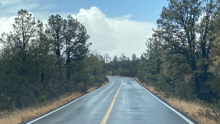 WhatsApp Image 2025-06-13 at 11.20.33 AM (1)