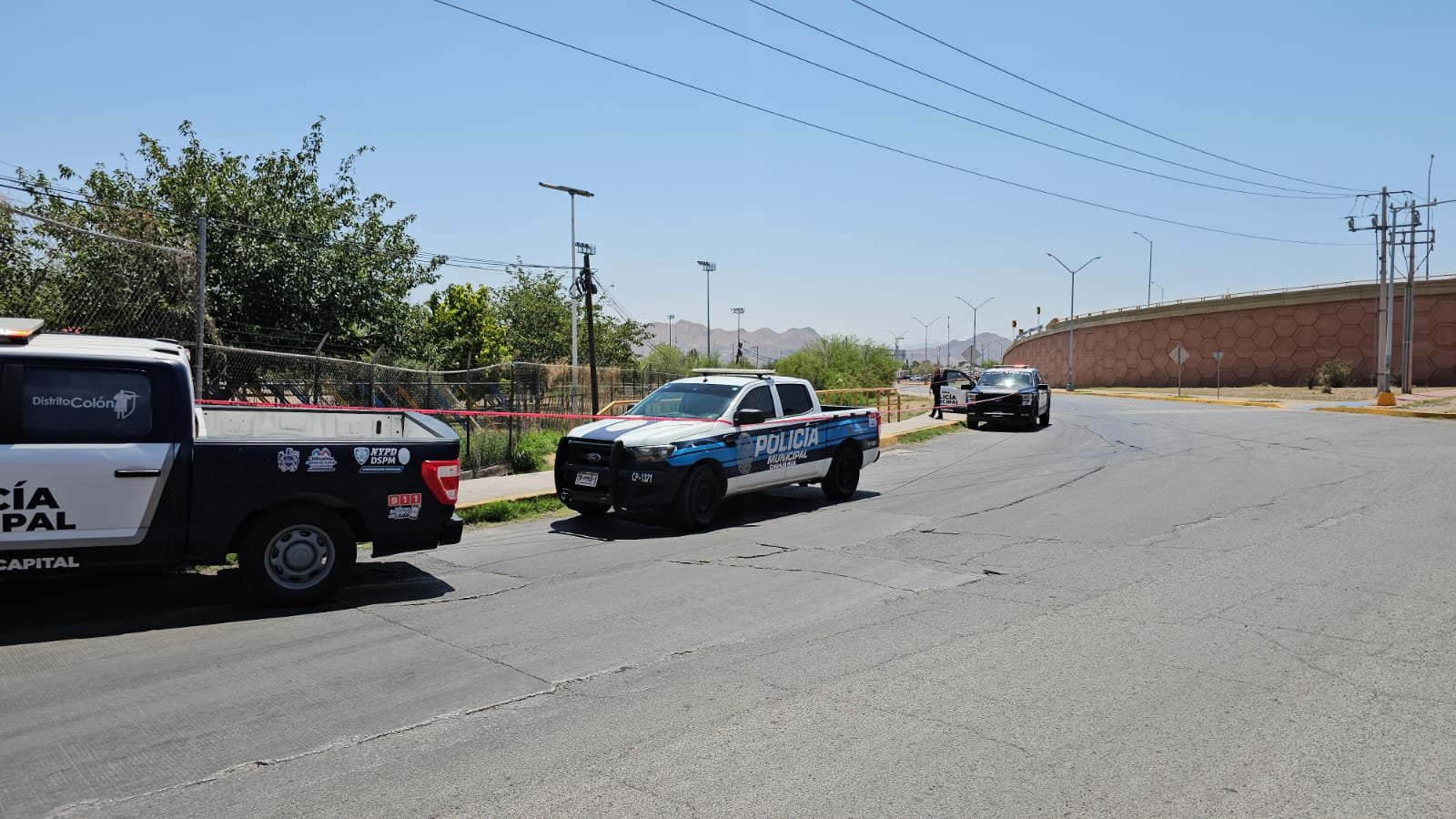 WhatsApp Image 2025-06-16 at 12.05.14 PM