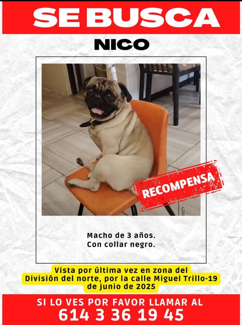 WhatsApp Image 2025-06-19 at 1.50.32 PM