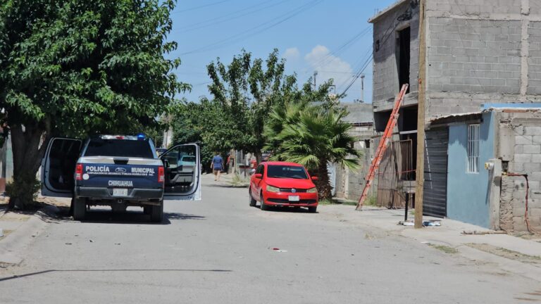 WhatsApp Image 2025-06-19 at 12.01.40 PM (1)