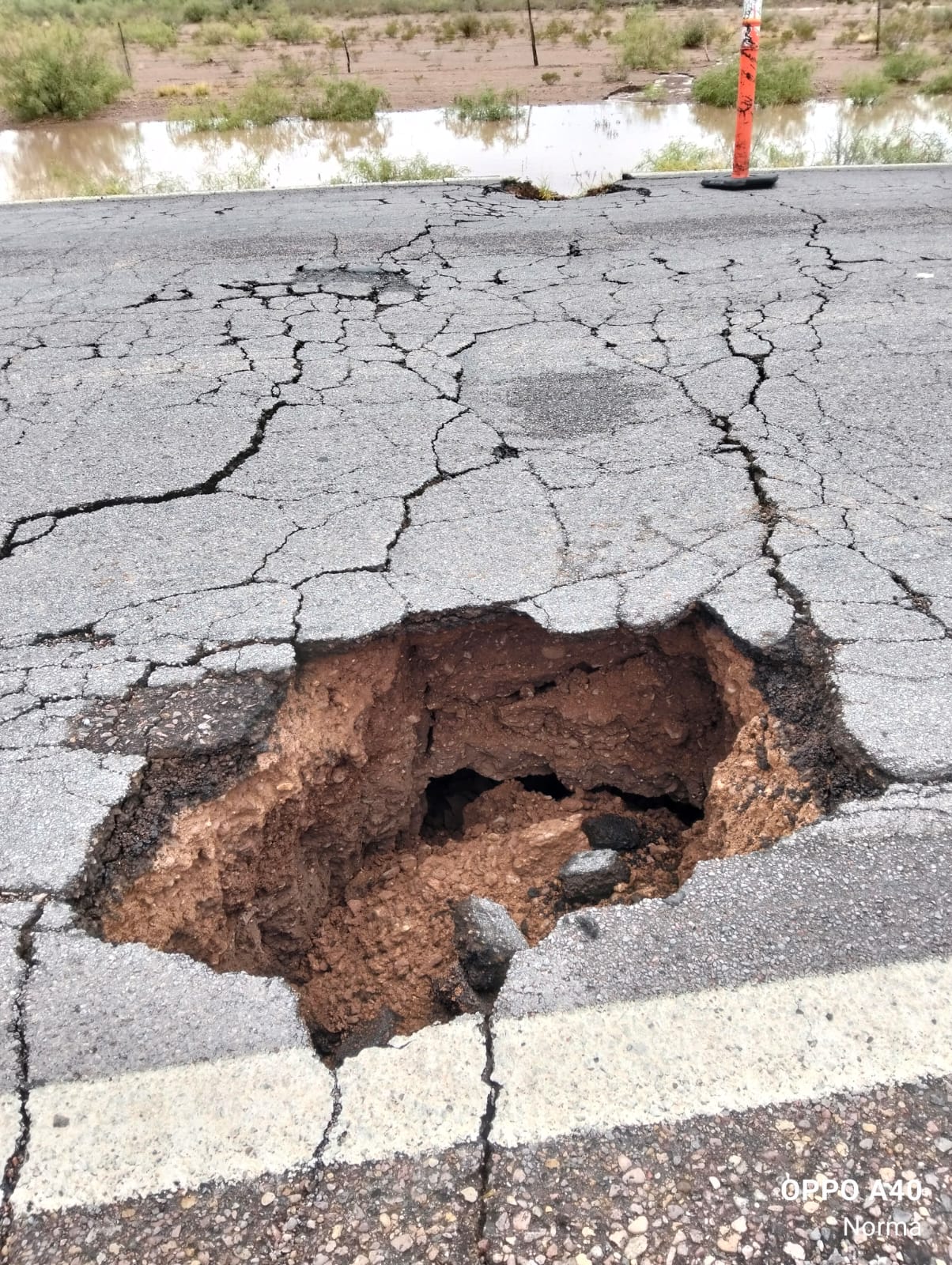 WhatsApp Image 2025-06-24 at 1.58.35 PM (1)