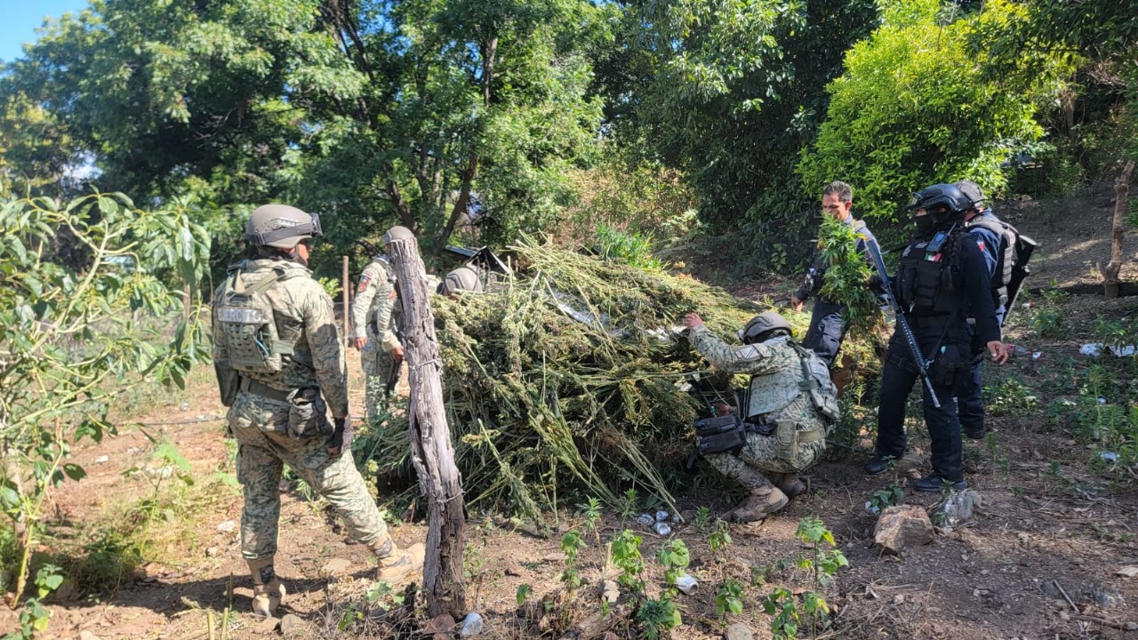 WhatsApp Image 2025-06-24 at 2.07.41 PM