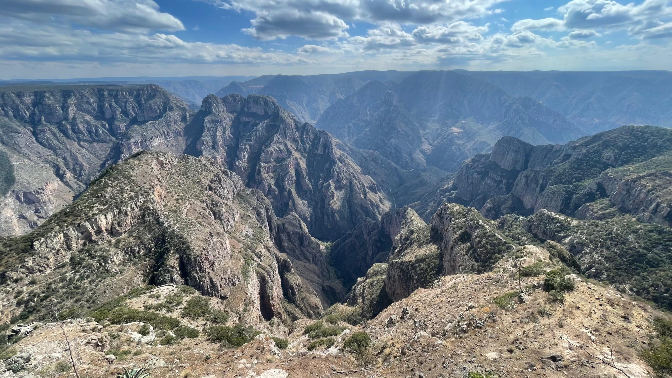 WhatsApp Image 2025-06-26 at 2.34.55 PM