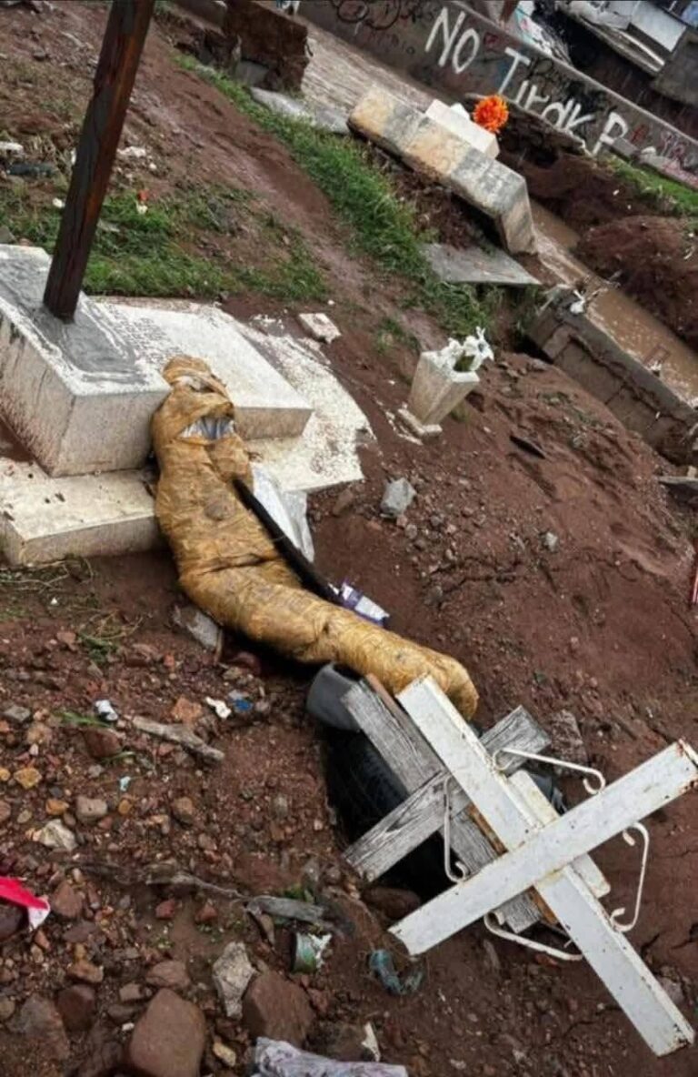 FB_IMG_1751408659149