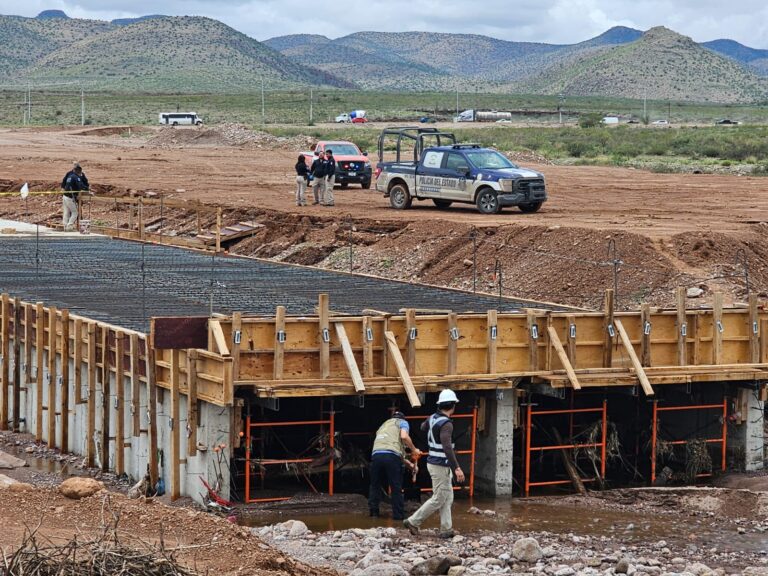 WhatsApp Image 2025-07-01 at 1.03.57 PM