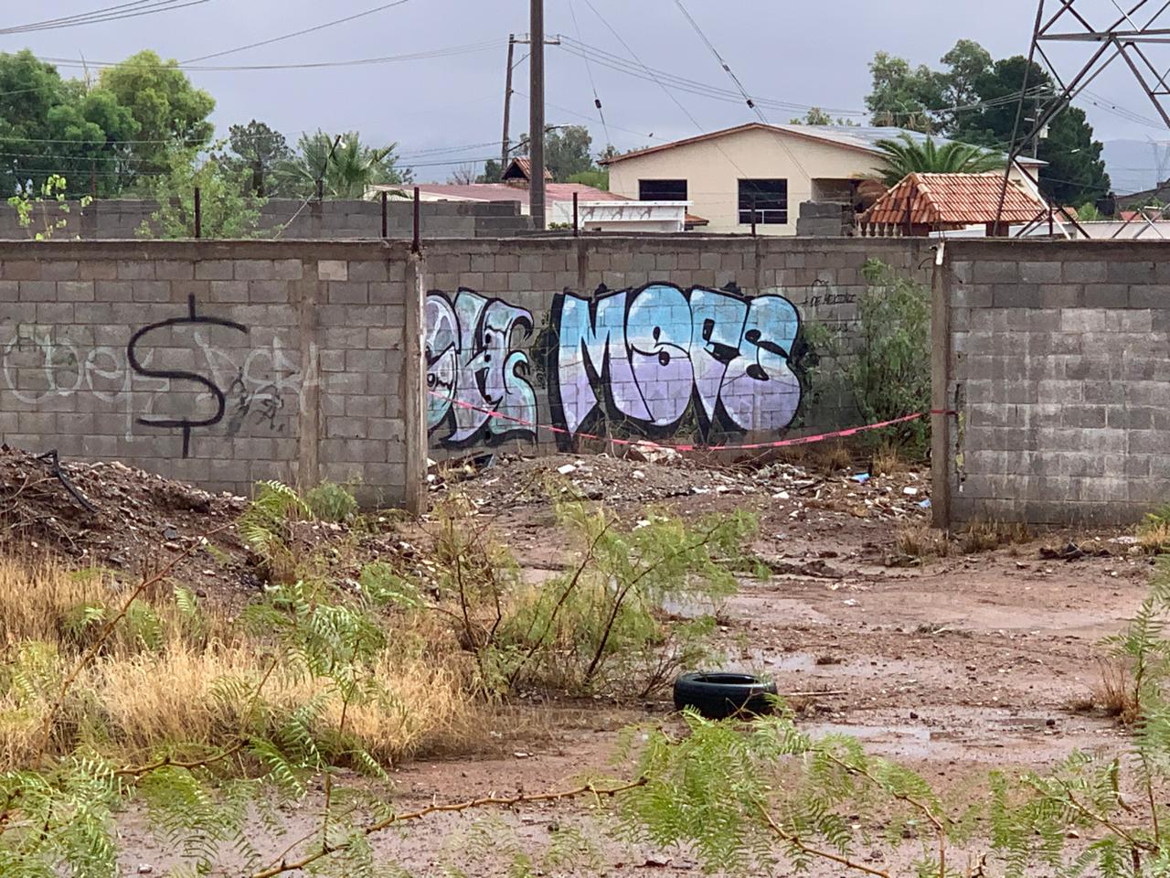 WhatsApp Image 2025-07-01 at 10.30.52 AM