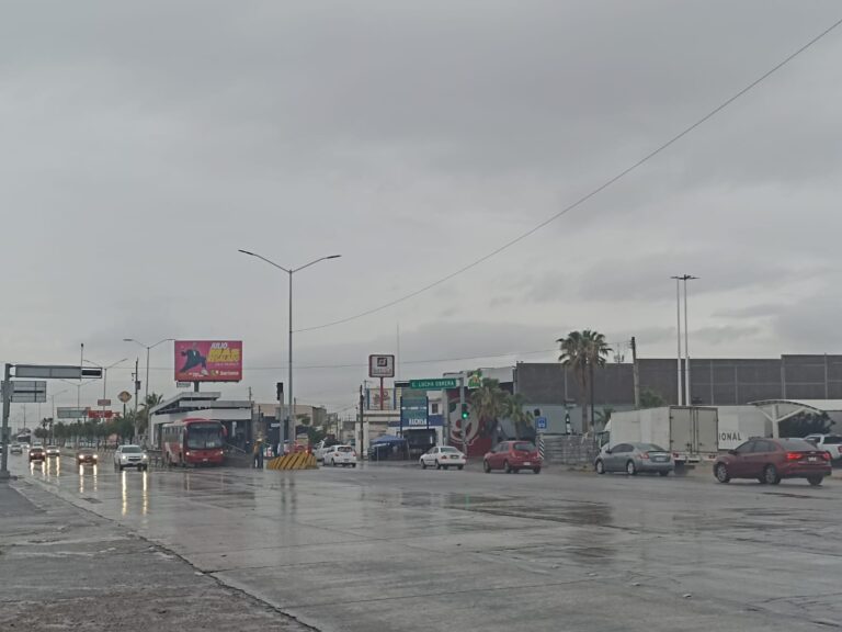 WhatsApp Image 2025-07-01 at 8.30.00 AM