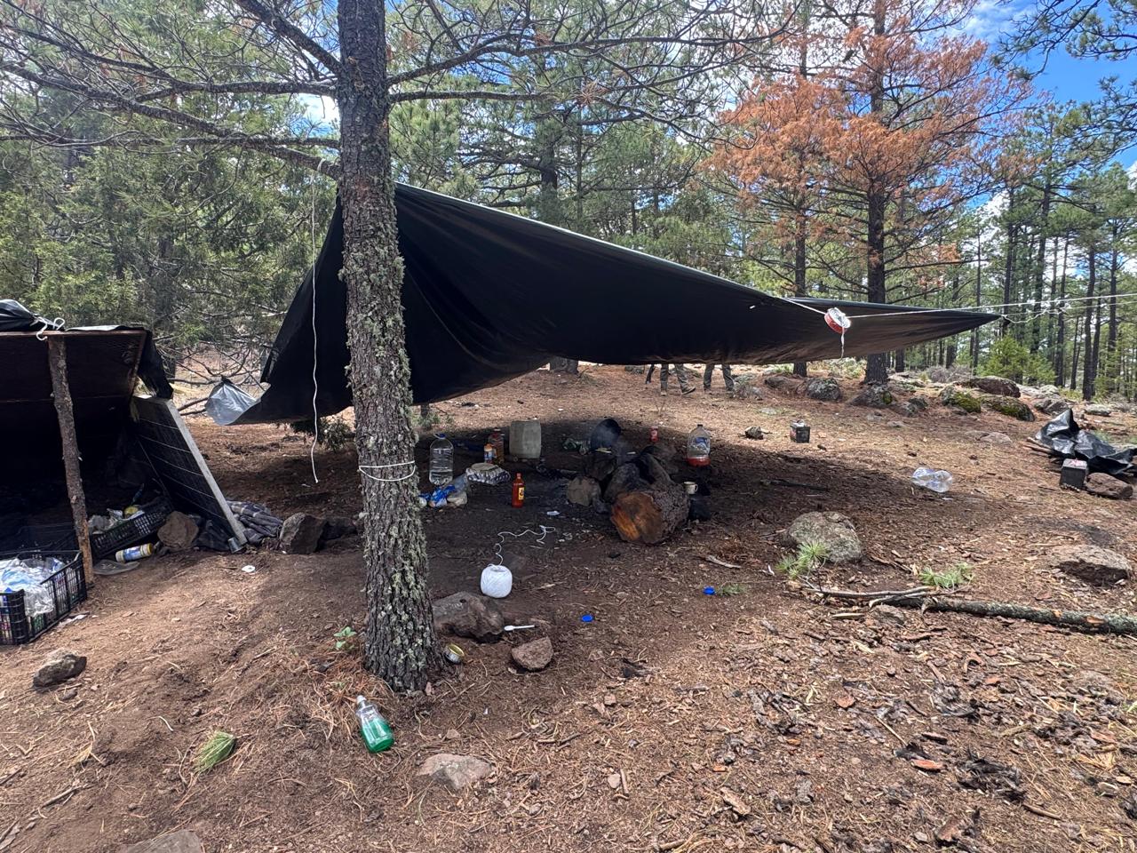 WhatsApp Image 2025-07-05 at 1.21.01 PM