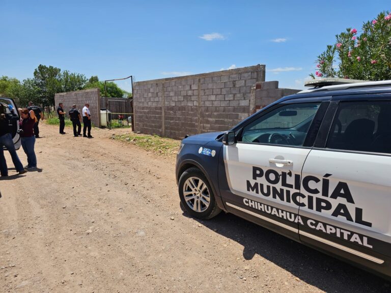 WhatsApp Image 2025-07-11 at 12.22.49 PM