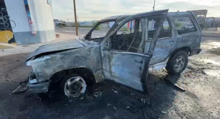 WhatsApp Image 2025-07-14 at 10.07.40 AM