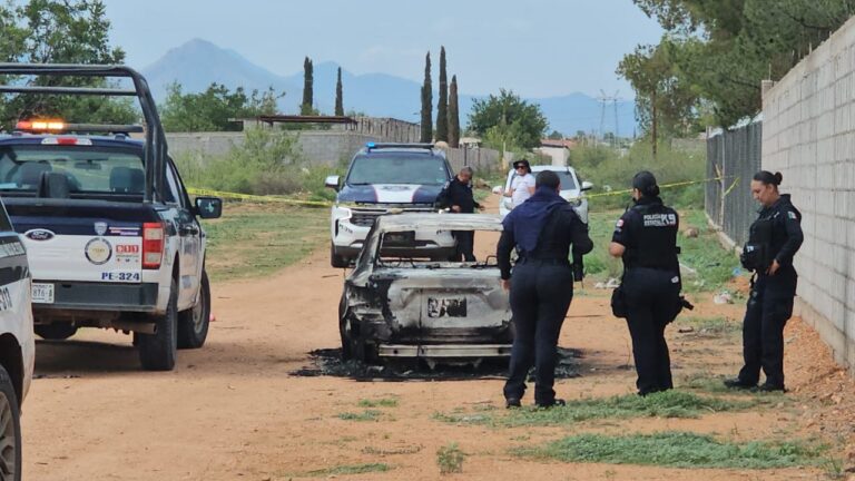 WhatsApp Image 2025-07-14 at 10.51.59 AM