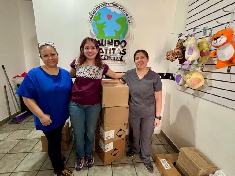 WhatsApp Image 2025-07-14 at 12.10.51 PM