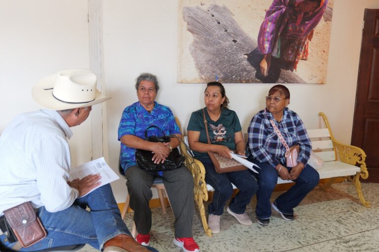 WhatsApp Image 2025-07-17 at 10.05.38 AM (1)