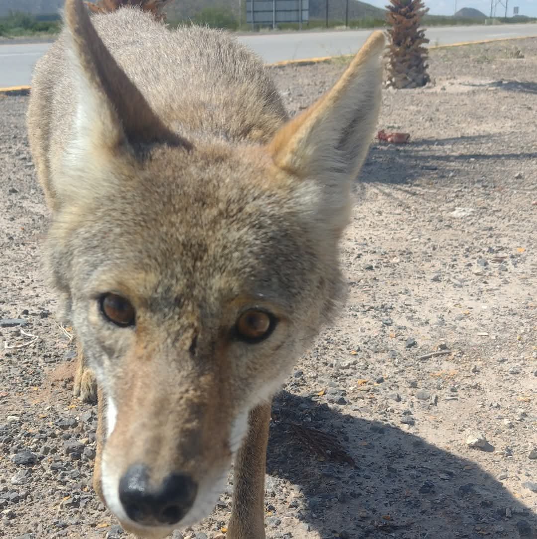 WhatsApp Image 2025-07-17 at 10.55.49 AM