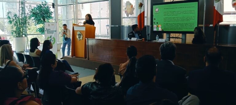 WhatsApp Image 2025-07-17 at 11.31.55 AM