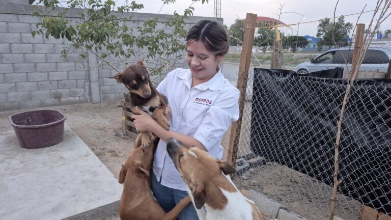 WhatsApp Image 2025-07-21 at 9.07.47 AM